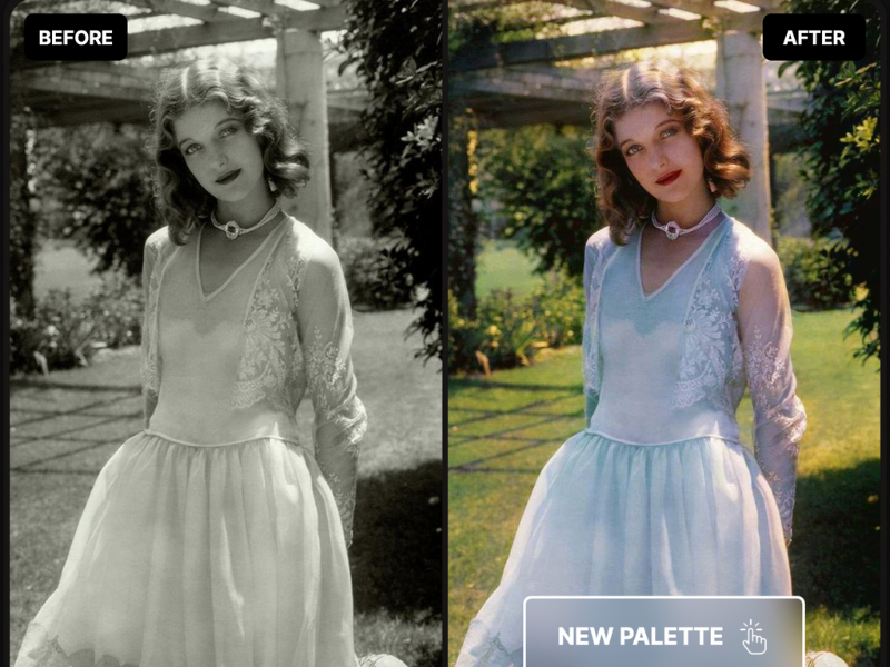 Palette.fm Review: A Powerful AI Colorizer for Photos 2 Palette2