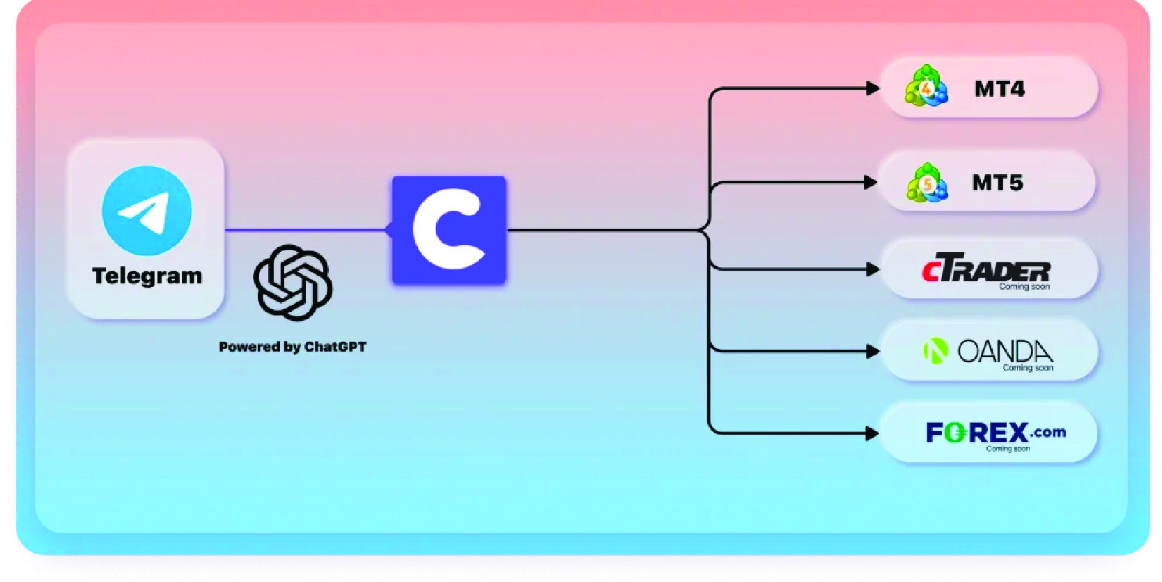 Copygram Review: A Convenient Way to Use Instagram on Your Browser 3 copygram-03