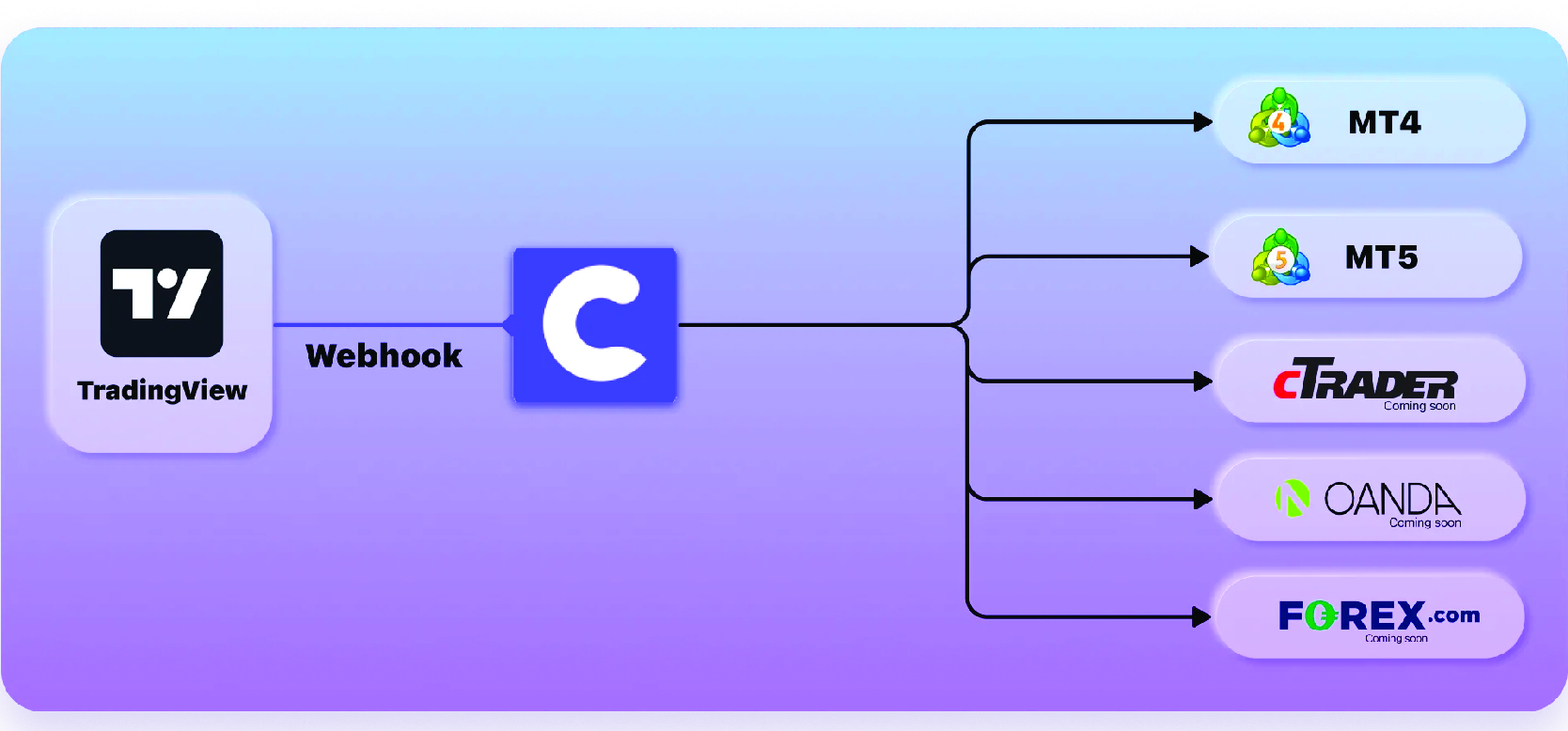 Copygram Review: A Convenient Way to Use Instagram on Your Browser 4 copygram-04